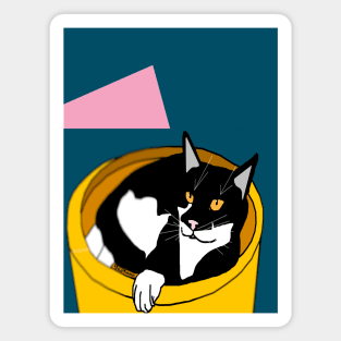 Cute Tuxedo Cat laying in a fruit bowl.  Copyright TeAnne Magnet